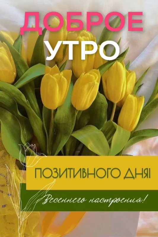 Картинки и пожелания Доброго весеннего утра. Картинки Доброго весеннего утра красивые и новые