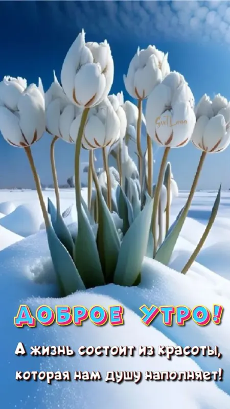 Картинки и пожелания Доброго весеннего утра. Картинки Доброе утро весеннее