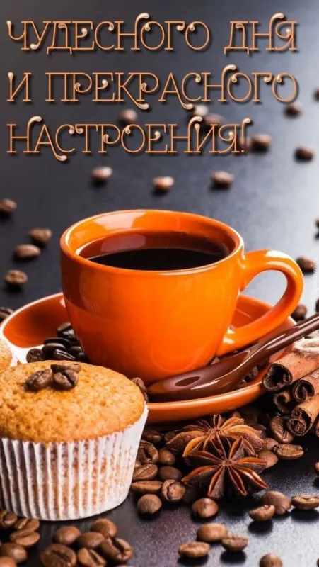 Картинки Хорошего дня и настроения . Картинки Хорошего дня и настроения