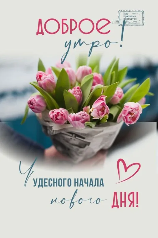 Картинки и пожелания Доброго весеннего утра. Картинки Доброе утро весеннее