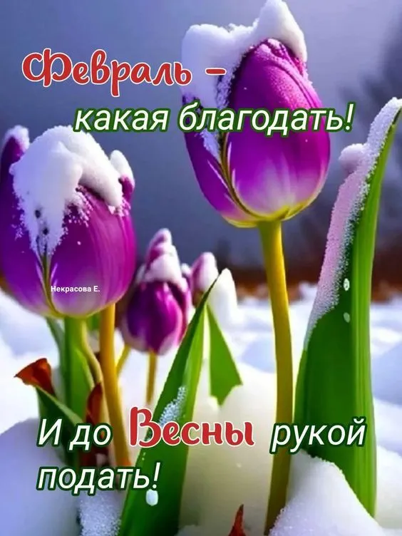 Скоро весна - картинки и гифки. Картинки "Скоро весна" прикольные
