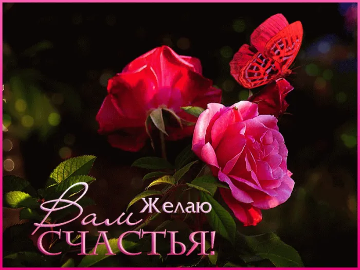 Картинки с красивыми и добрыми пожеланиями. Красивые гифки с пожеланиями