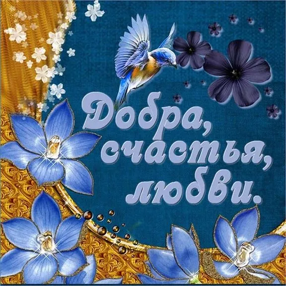 Картинки с красивыми и добрыми пожеланиями. Картинки с пожеланиями добра и счастья