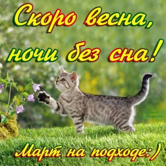 Скоро весна - картинки и гифки. Картинки "Скоро весна" прикольные