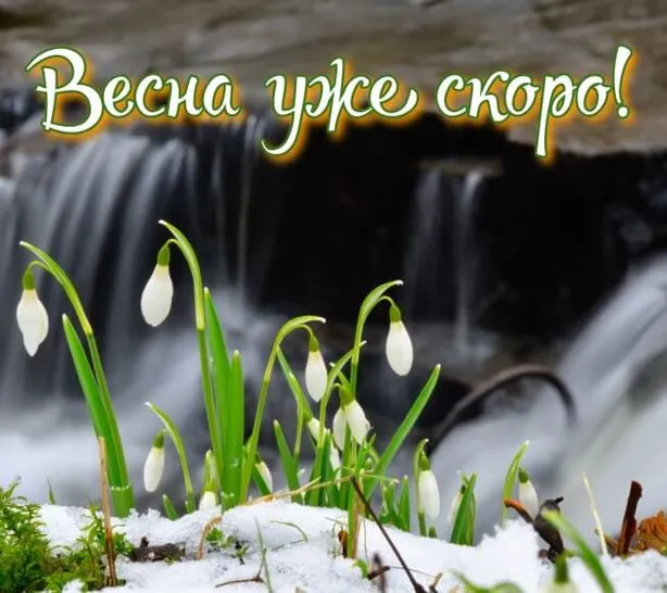 Скоро весна - картинки и гифки. Картинки "Скоро весна" прикольные