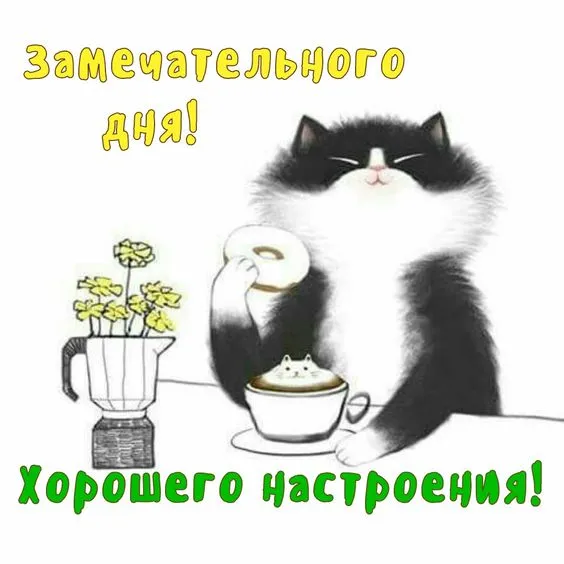 Картинки Хорошего дня и настроения . Картинки Хорошего дня и настроения