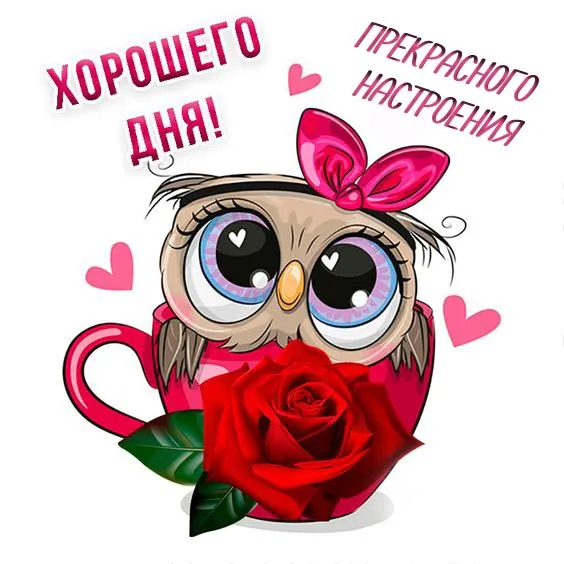 Картинки Хорошего дня и настроения . Картинки Хорошего дня и настроения