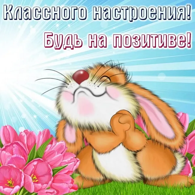 Картинки Хорошего дня и настроения . Картинки Хорошего настроения