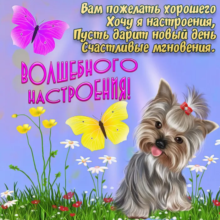 Картинки Хорошего дня и настроения . Картинки Хорошего настроения