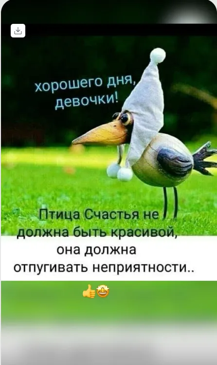 Картинки Хорошего дня и настроения . Картинки Хорошего дня и настроения