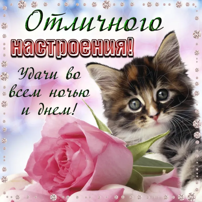 Картинки Хорошего дня и настроения . Картинки Хорошего настроения
