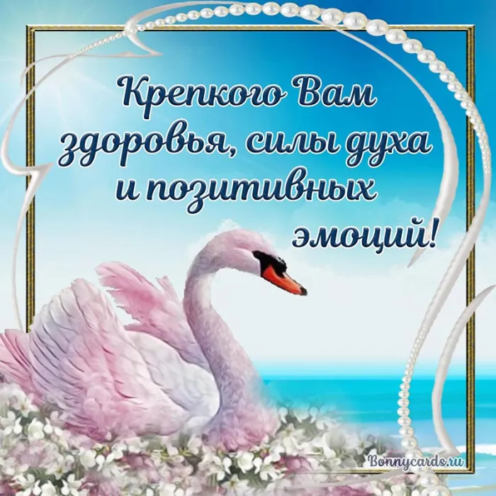 Картинки с красивыми и добрыми пожеланиями. Картинки с пожеланиями здоровья и добра