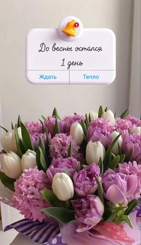 Картинки с последним днем зимы. Картинки с последним днем зимы (красивые и новые)