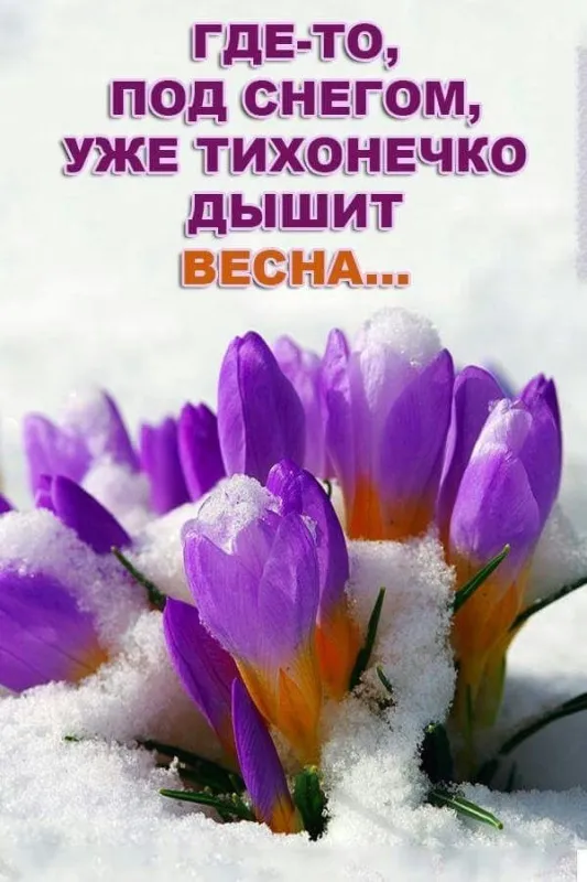 Скоро весна - картинки и гифки. Красивые картинки Скоро Весна