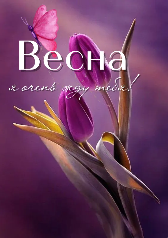 Скоро весна - картинки и гифки. Красивые картинки Скоро Весна