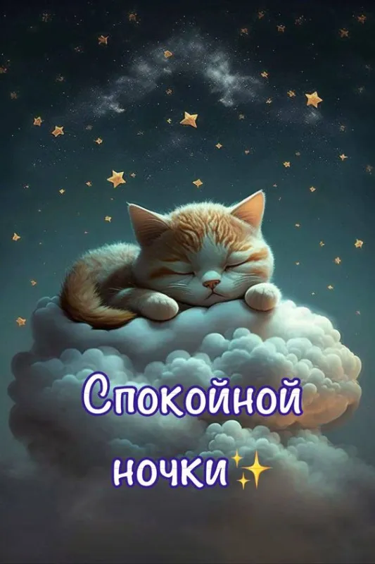 Красивые картинки Спокойной ночи. Картинки Спокойной ночи красивые и прикольные