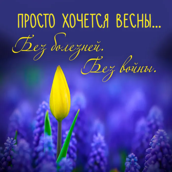 Скоро весна - картинки и гифки. Картинки "Скоро весна" прикольные