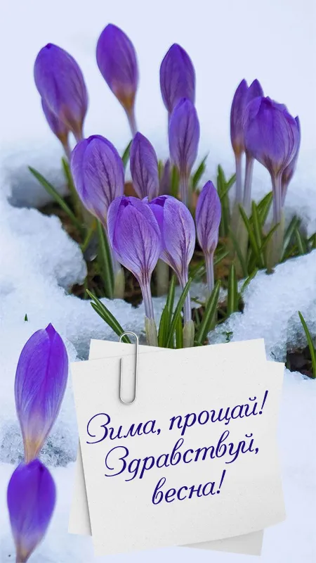 Картинки с последним днем зимы. Картинки с последним днем зимы (красивые и новые)