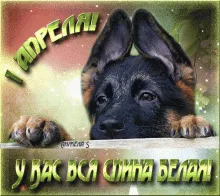 Картинки с Днем смеха на 1 апреля. Картинки с Днем Смеха и 1 апреля