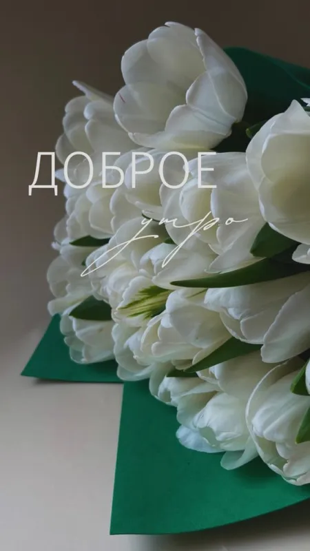 Красивые картинки с Добрым апрельским утром . Картинки Доброго апрельского утра