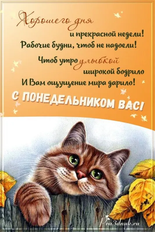 Картинки "Доброго утра понедельника". Прикольные картинки Доброго утра понедельника
