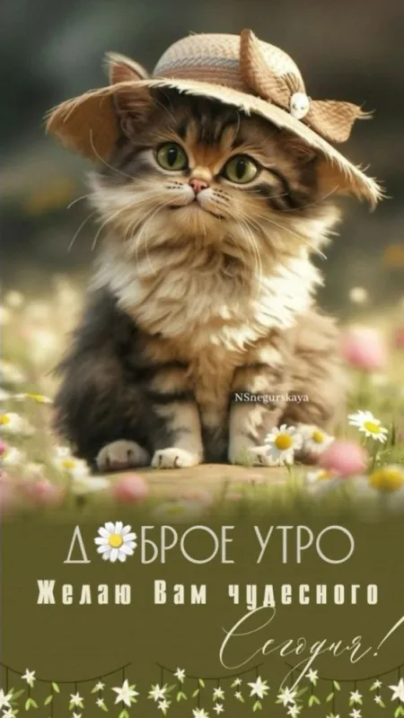 Картинки "Доброго утра понедельника". Картинки Доброе утро понедельника