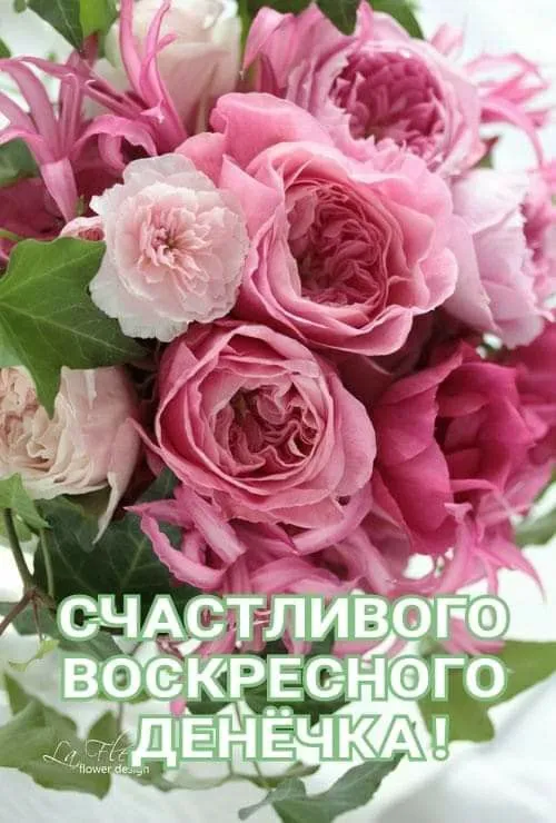 100+ картинок с Добрым утром Воскресенья. Картинки с Добрым утром воскресенья необычные