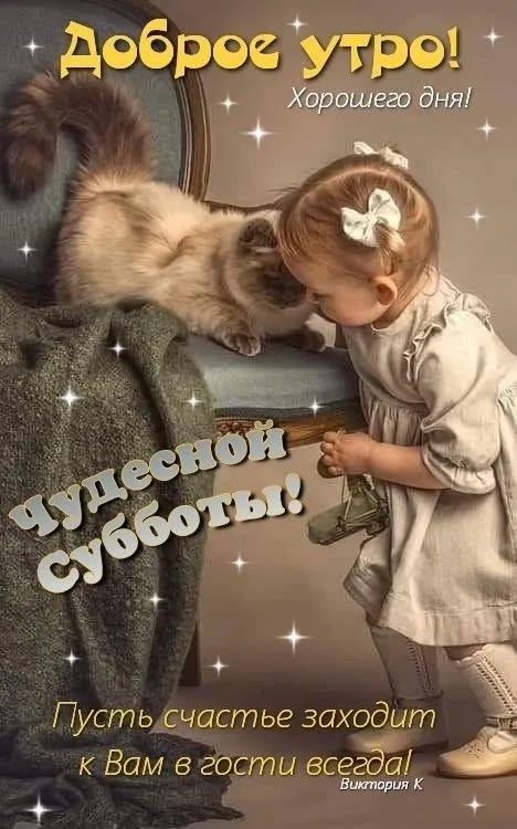 80+ картинок с Добрым утром субботы. Доброе утро субботы - картинки красивые и необычные