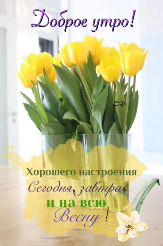 Красивые картинки с Добрым апрельским утром . Картинки Доброго апрельского утра