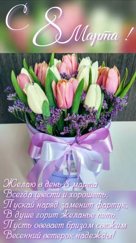 Прикольные картинки на 8 Марта (60 открыток). Картинки с 8 марта прикольные с пожеланиями