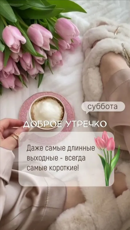 80+ картинок с Добрым утром субботы. Доброе утро субботы - картинки красивые