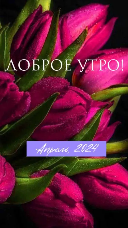 Красивые картинки с Добрым апрельским утром . Картинки Доброго апрельского утра