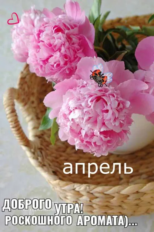 Красивые картинки с Добрым апрельским утром . Картинки с Добрым апрельским утром