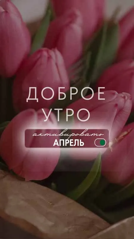Красивые картинки с Добрым апрельским утром . Доброе апрельское утро - картинки красивые и новые