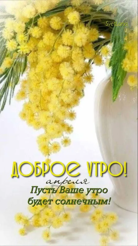 Красивые картинки с Добрым апрельским утром . Доброе апрельское утро - картинки красивые и новые