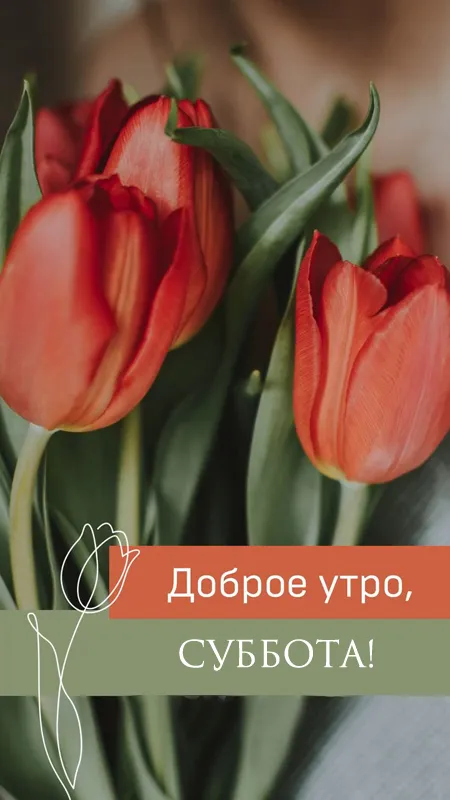 80+ картинок с Добрым утром субботы. Доброе утро субботы - картинки красивые и необычные