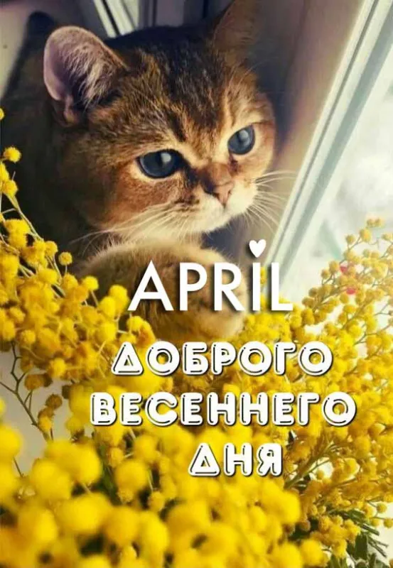 Красивые картинки с Добрым апрельским утром . Доброе апрельское утро - картинки красивые и новые