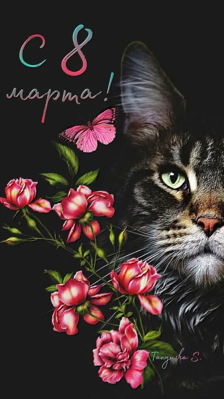 Прикольные картинки на 8 Марта (60 открыток). Картинки "С 8 Марта" прикольные и необычные