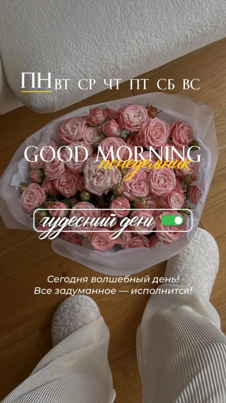 Картинки "Доброго утра понедельника". Доброе утро понедельника - картинки красивые