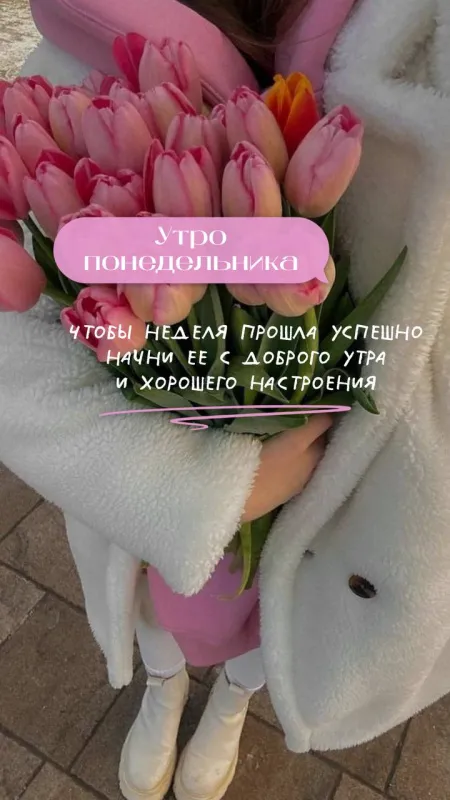 Картинки "Доброго утра понедельника". Доброе утро понедельника - картинки красивые