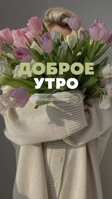 Картинки "Доброго утра понедельника". Доброе утро понедельника - картинки красивые
