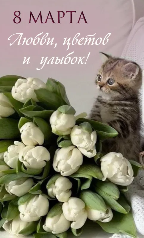 Красивые картинки с 8 Марта. Картинки с 8 Марта красивые и новые