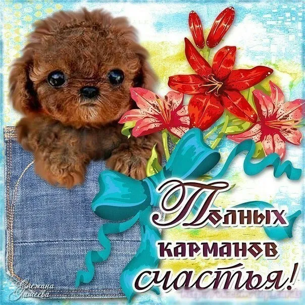 Картинки с Международным Днем счастья. Прикольные картинки с Днем счастья