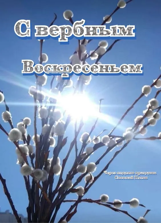 90 Открыток на Вербное Воскресенье. С Вербным Воскресеньм открытки красивые и новые