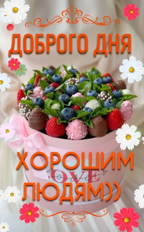 100+ картинок "Хорошего и доброго дня" . Картинки с пожеланями Хорошего и доброго дня