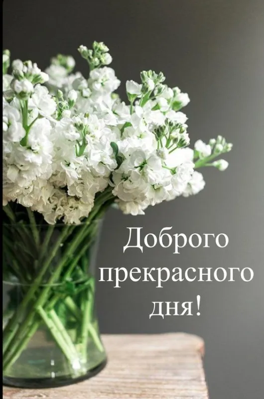 100+ картинок "Хорошего и доброго дня" . Картинки с пожеланями Хорошего и доброго дня