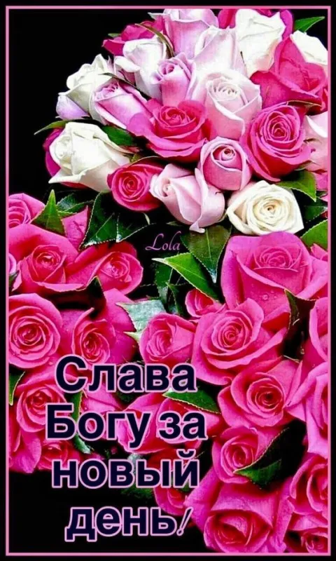 100+ картинок "Хорошего и доброго дня" . Картинки с пожеланями Хорошего и доброго дня