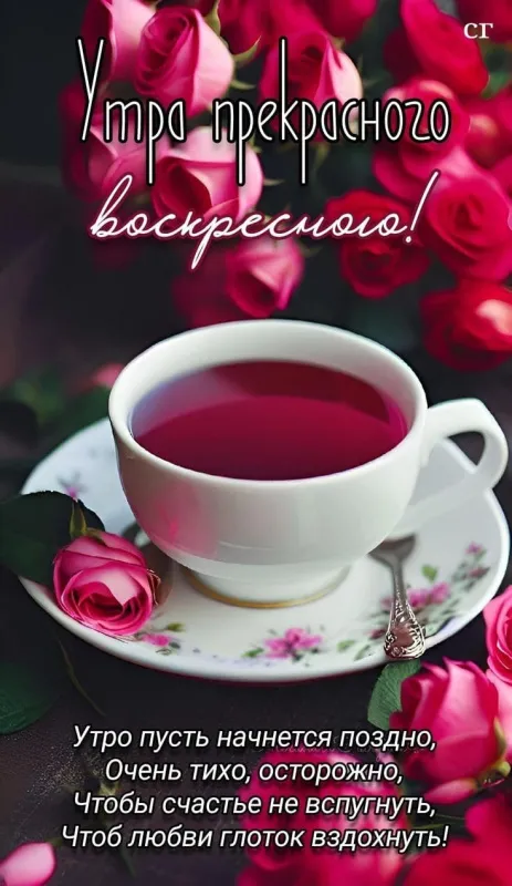 100+ картинок с Добрым утром Воскресенья. Красивые картинки Доброе утро воскресенья