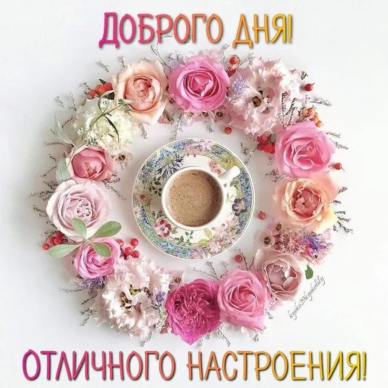 100+ картинок "Хорошего и доброго дня" . Прикольные картинки "Хорошего дня и настроения"