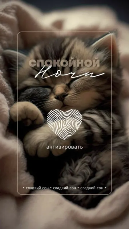 Доброй ночи - картинки красивые и прикольные. Доброй ночи - картинки красивые и новые